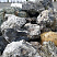 Kamenclub.ru: Черный гранит - кварцит фр. 100-500 мм.  купить в Старом Осколе мрамор гранит черный с белыми прожилками, серый, белый валун скальный колотый 7000 руб/т   фото КАМЕНЬ КЛУБ