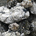 Kamenclub.ru: Черный гранит - кварцит фр. 100-500 мм.  купить в Старом Осколе мрамор гранит черный с белыми прожилками, серый, белый валун скальный колотый 7000 руб/т   фото КАМЕНЬ КЛУБ