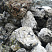 Kamenclub.ru: Черный гранит - кварцит фр. 100-500 мм.  купить в Старом Осколе мрамор гранит черный с белыми прожилками, серый, белый валун скальный колотый 7000 руб/т   фото КАМЕНЬ КЛУБ