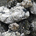 Kamenclub.ru: Черный гранит - кварцит фр. 100-500 мм.  купить в Старом Осколе мрамор гранит черный с белыми прожилками, серый, белый валун скальный колотый 7000 руб/т   фото КАМЕНЬ КЛУБ